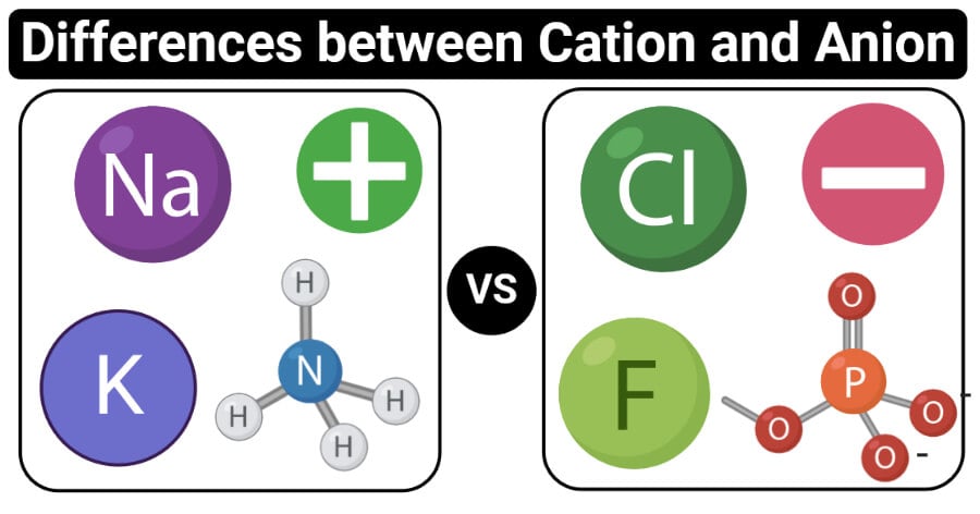 Differences between Cation and Anion (Cation vs Anion)