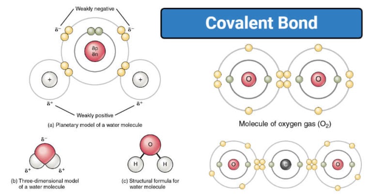 Covalent Bonding (AS and A Level Chemistry)