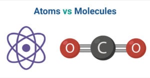 Atom vs Molecule