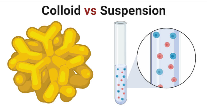 Colloid vs Suspension