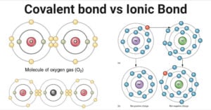Covalent vs Ionic Bond