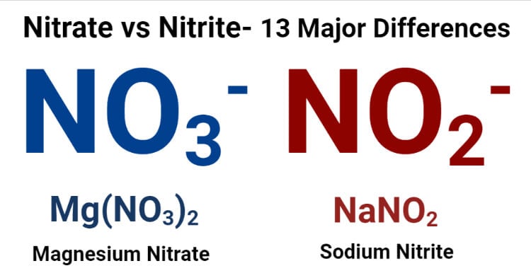 Nitrate vs Nitrite