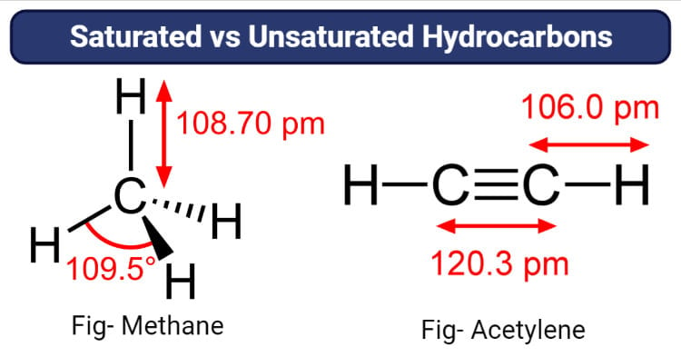 Saturated vs Unsaturated Hydrocarbons