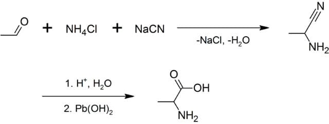 Biosynthesis of Alanine