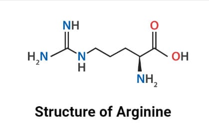 Structure of Arginine