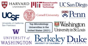 Top 10 Microbiology Universities in the United States (2021)