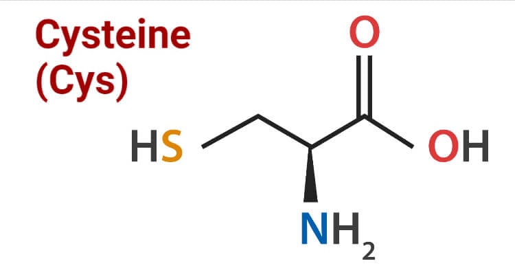 Structure of Cysteine