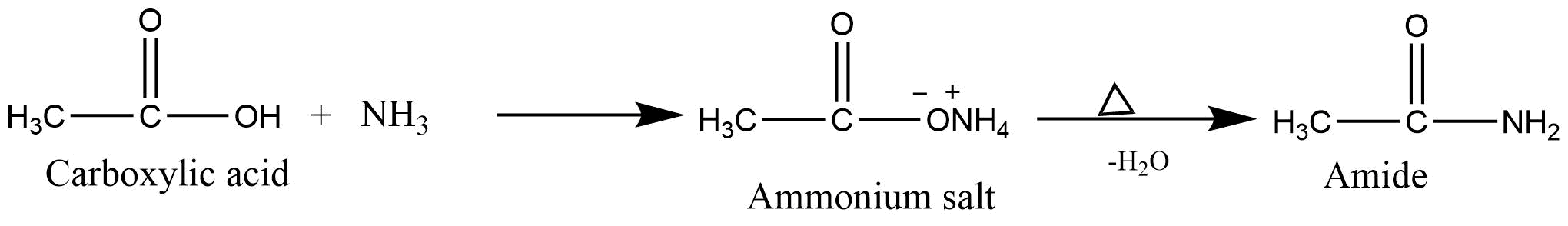 Amidification Carboxylic Acids (A Level Chemistry Revision Notes)