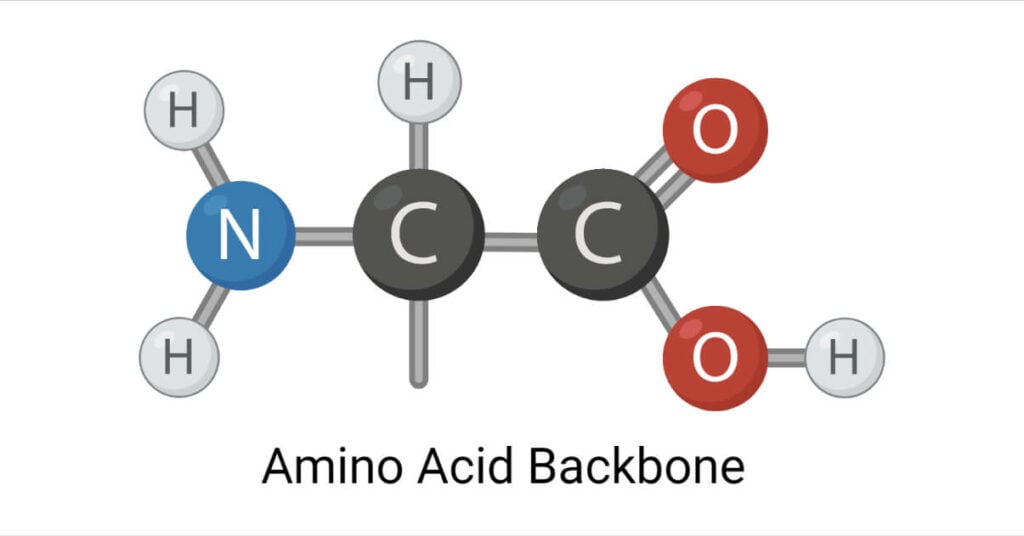 Amino Acids- Definition, Classification, Preparation, Uses