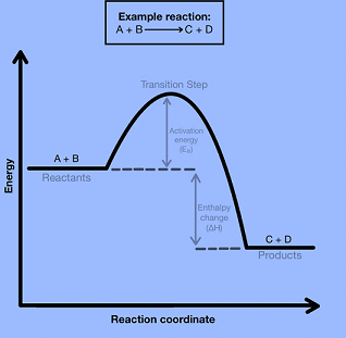 Exothermic Reaction 