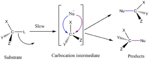 SN1 Reaction