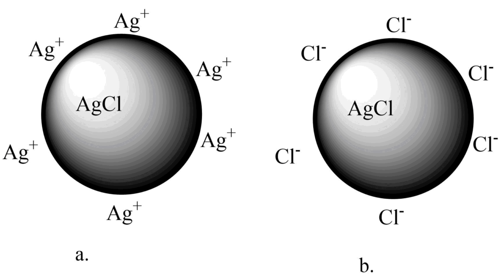 Origin of charge on AgCl sol particle