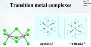 Transition metal complexes