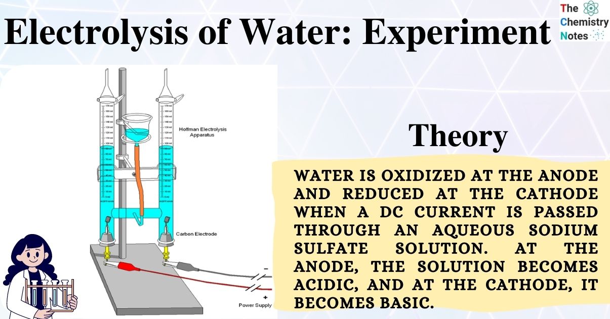 thumbnail image 2 of MTTXY Water Electrolysis Equipment, Electrolyzed Water Demonstrator Oxygen Device High School Chemistry Teaching Instrument 2 of 13