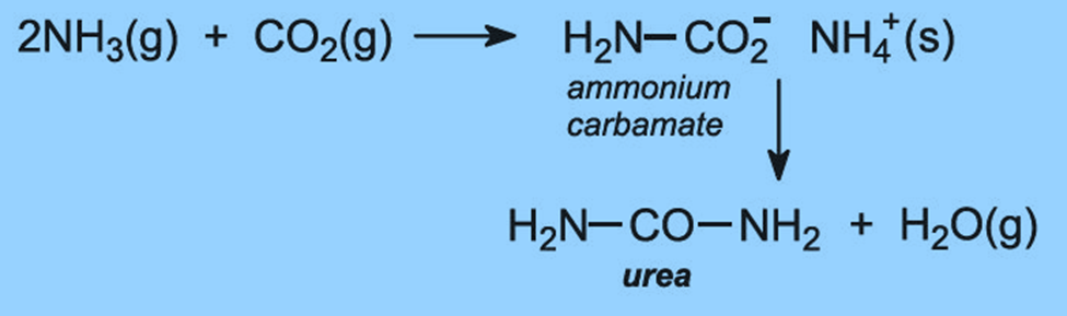 Synthesis of Urea