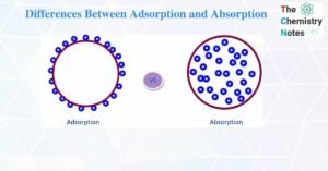Differences between adsorption and absorption