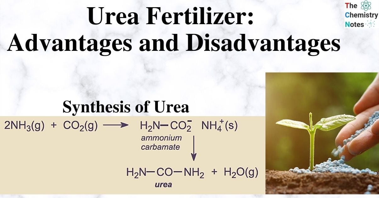 Urea Fertilizer Advantages and Disadvantages