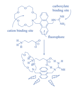 Supramolecular Chemistry: Concepts and Applications