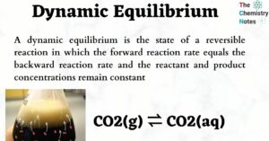 Dynamic Equilibrium