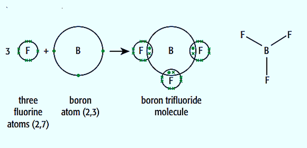 Dot and cross Diagram of Boron trifluoride (BF3)