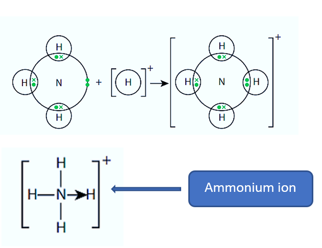 Formation of a coordinate bond in the
ammonium ion