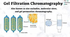 Gel-Filtration-Chromatography