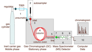 Gas Chromatography-Mass Spectrometry (GC-MS)