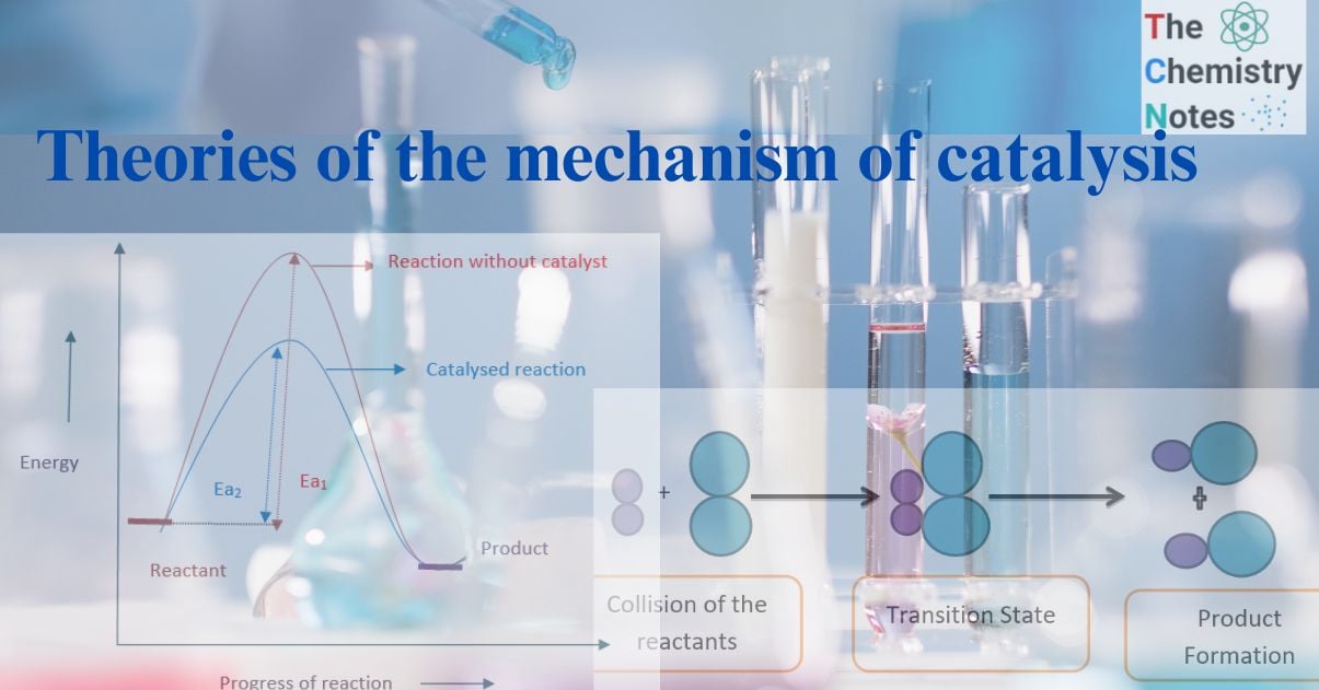 Mechanism of catalysis