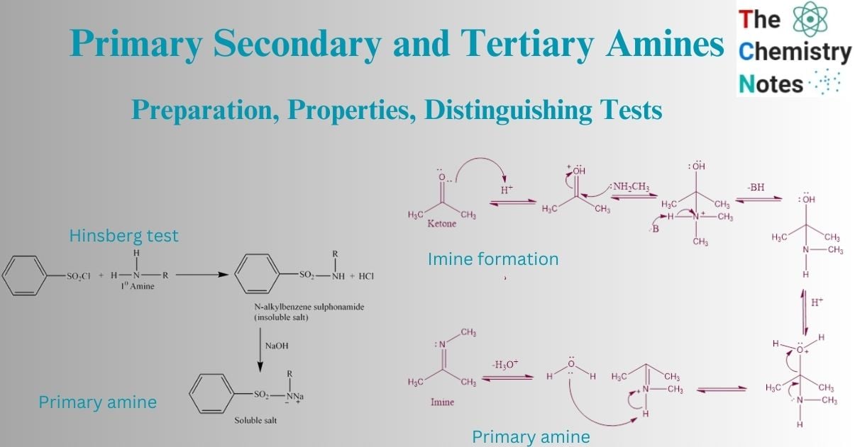 primary secondary and tertiary amines