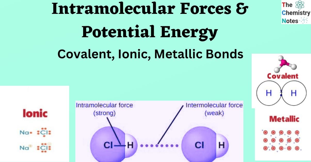 Intramolecular Forces & Potential Energy
