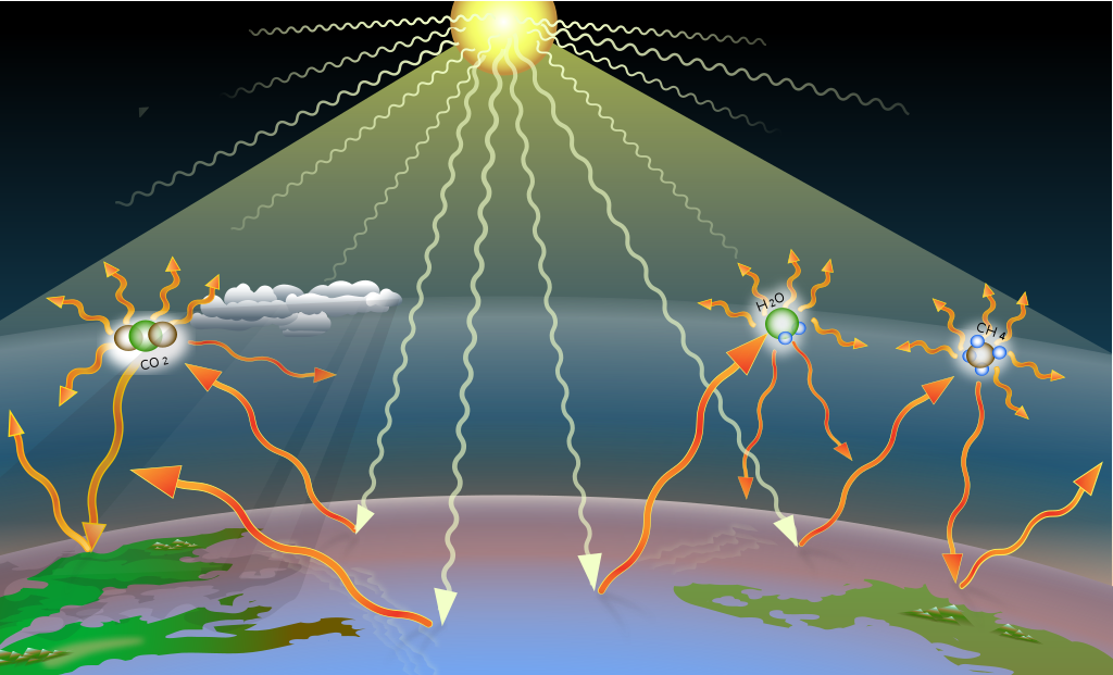 Greenhouse gases absorb the infrared energy