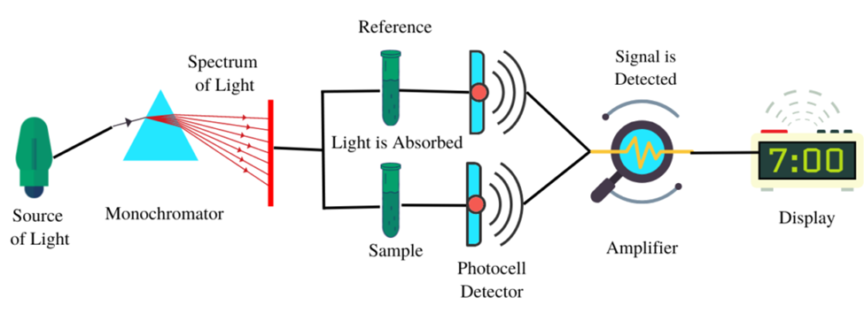 Double-beam spectrophotometer