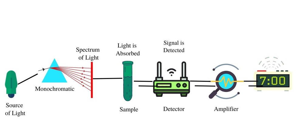 Working principle of single beam spectrophotometer
