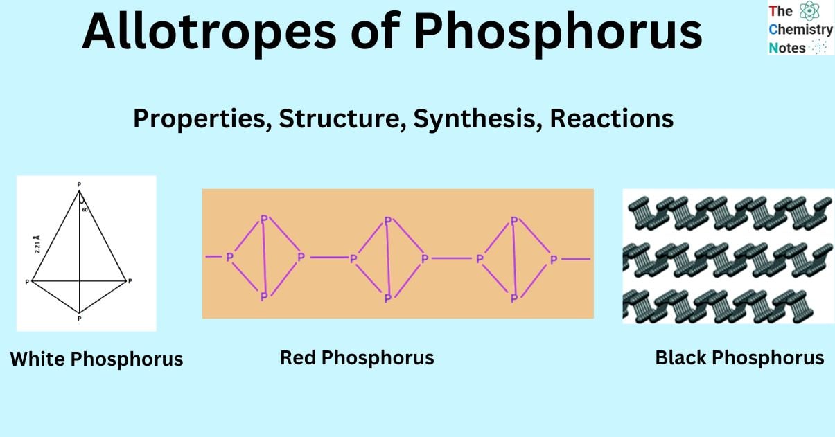 Allotropes of Phosphorus