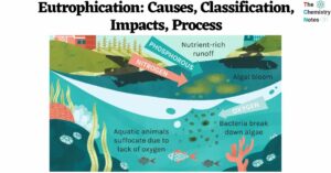 Eutrophication Causes, Classification, Impacts, Process