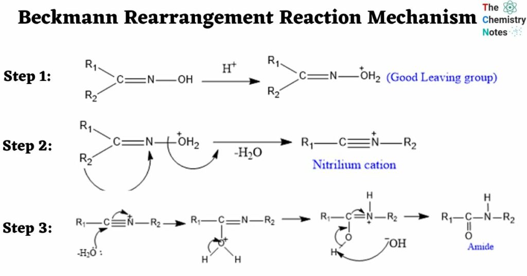 Beckmann Rearrangement Reaction mechanism