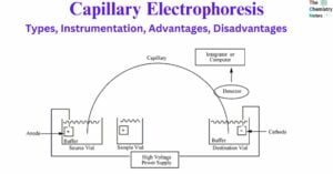 Capillary Electrophoresis