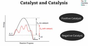 Catalyst and Catalysis