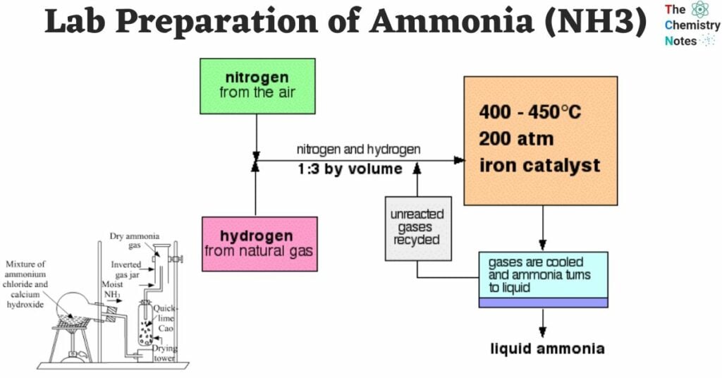 Lab Preparation of Ammonia (NH3)