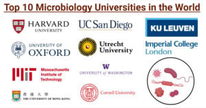 Top 10 Microbiology Universities in the World