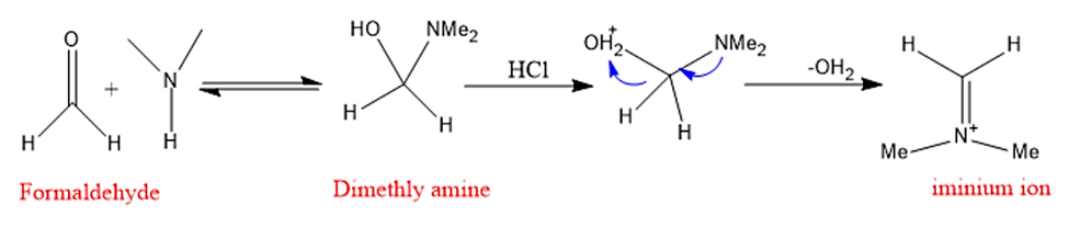 Formation of Iminium ion