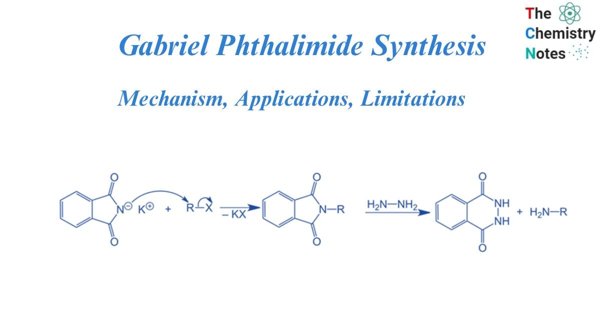 Gabriel phthalimide synthesis
