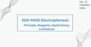 SDS-PAGE Electrophoresis