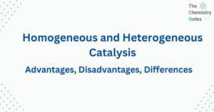 Homogeneous and Heterogeneous Catalysis