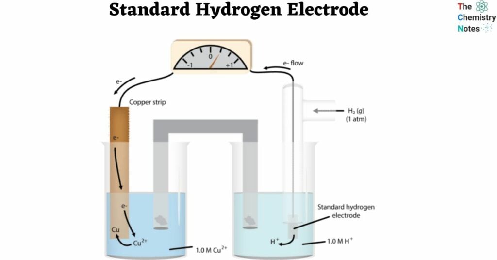 What is Standard Hydrogen Electrode?