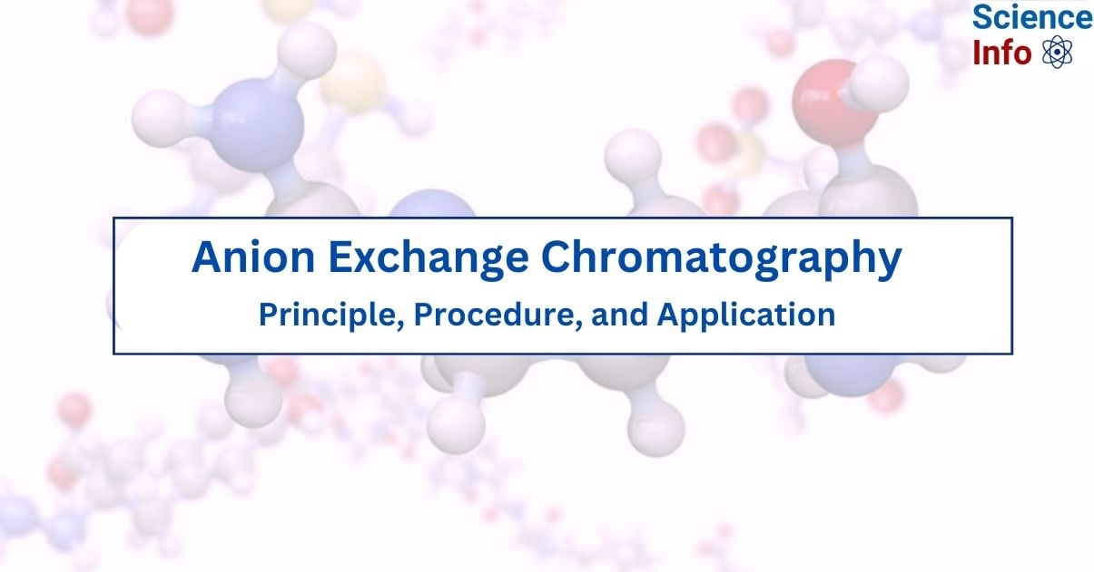 Anion Exchange Chromatography