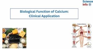 Biological Function of Calcium Clinical Application