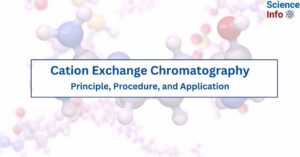 Cation Exchange Chromatography