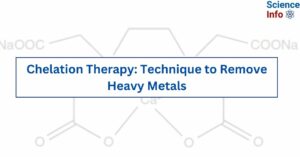Chelation Therapy Technique to Remove Heavy Metals