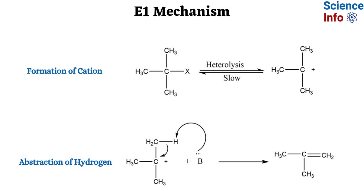 E1 Mechanism E1 Mechanism